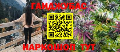 стаф Бузулук
